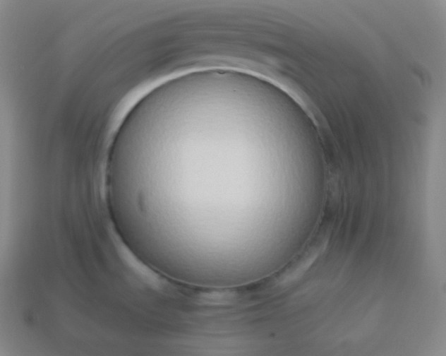 X0000113951535200910091558