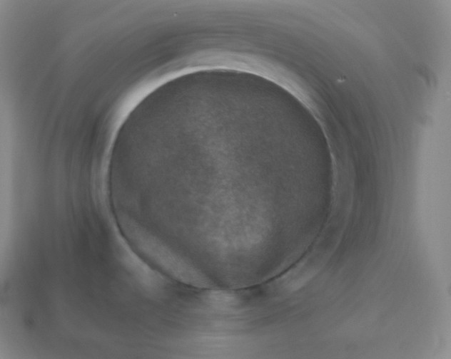 X0000113951536200910091558
