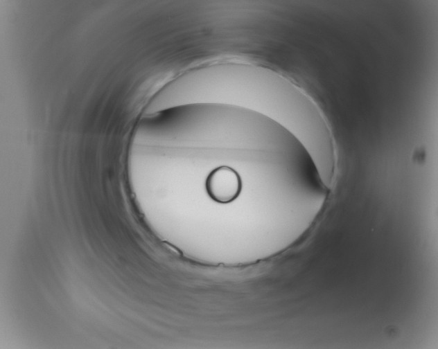 X0000113950001200910161951