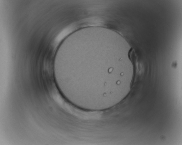 X0000113950004200910161951