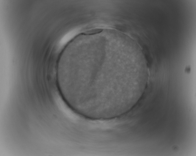 X0000113950005200910161951