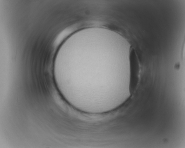 X0000113950006200910161951