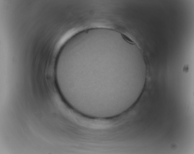 X0000113950008200910161951