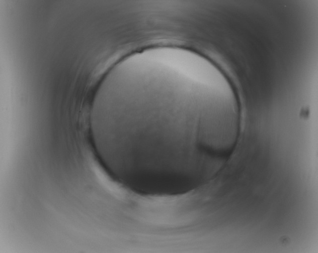 X0000113950009200910161951