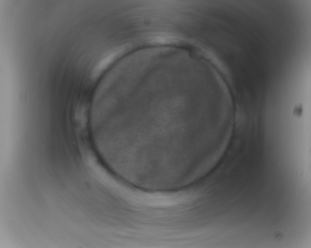 X0000113950010200910161951