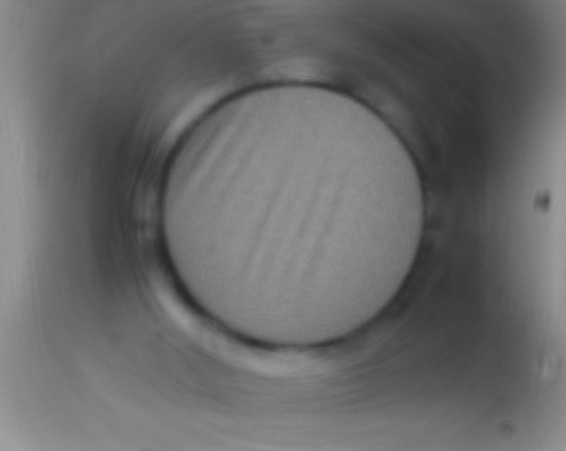 X0000113950012200910161951