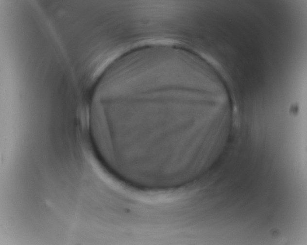 X0000113950013200910161950