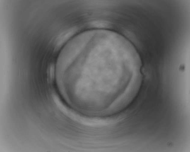 X0000113950014200910161950