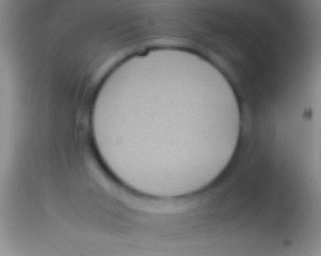 X0000113950015200910161950