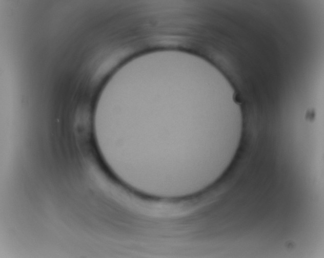 X0000113950016200910161950