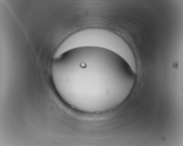 X0000113950017200910161950