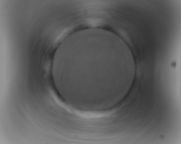 X0000113950018200910161950