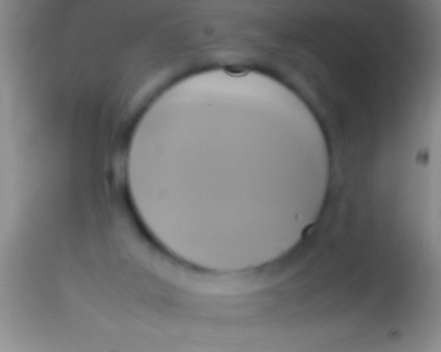 X0000113950019200910161950