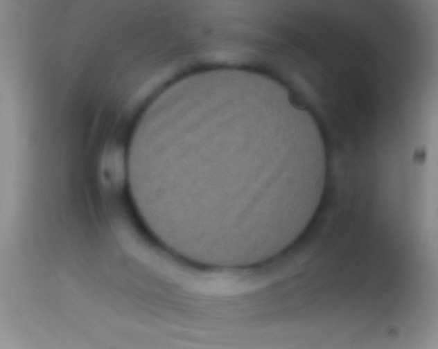 X0000113950020200910161950