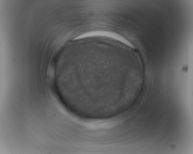 X0000113950021200910161950