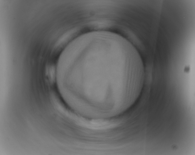 X0000113950022200910161950