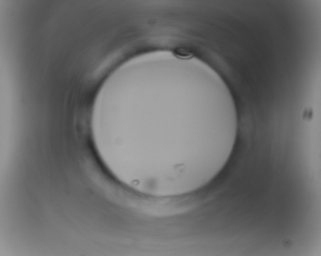 X0000113950023200910161950