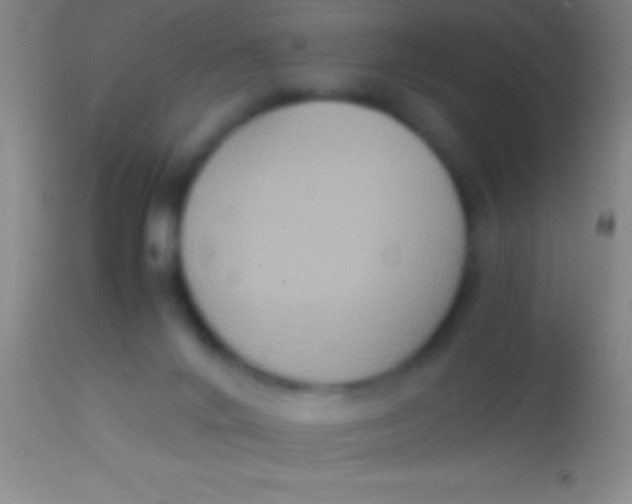 X0000113950024200910161950