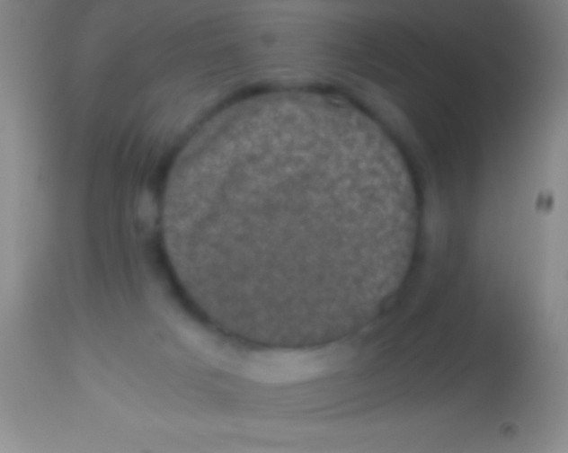 X0000113950025200910161950