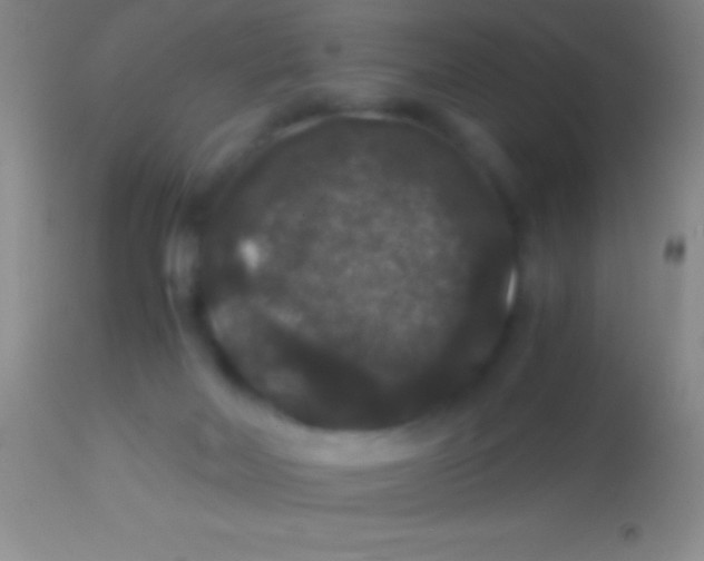 X0000113950026200910161950