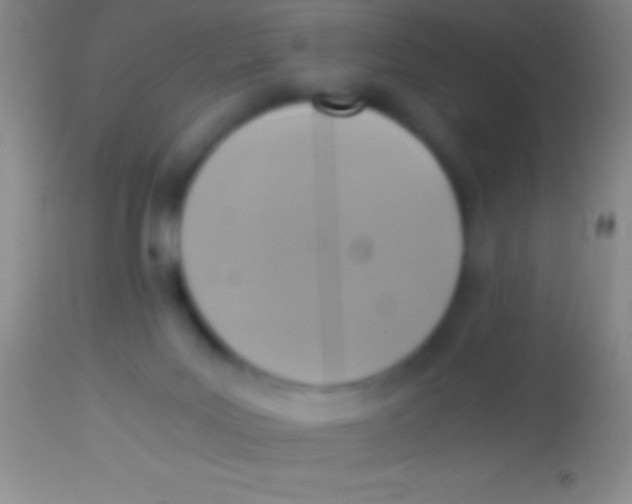 X0000113950027200910161950