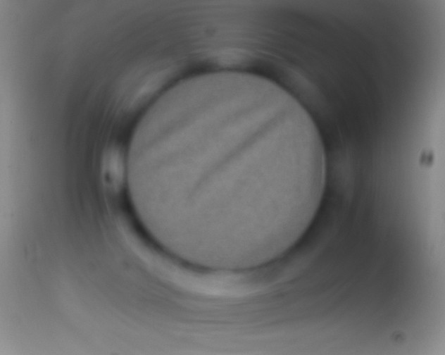 X0000113950028200910161950