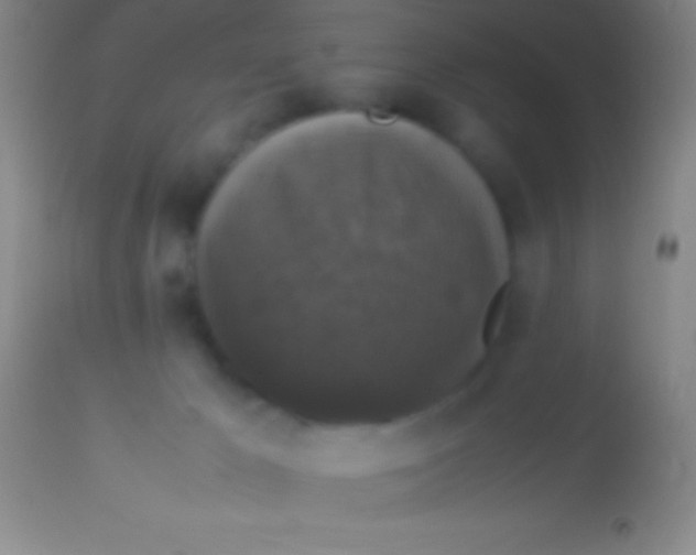 X0000113950029200910161950