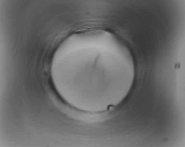 X0000113950031200910161950