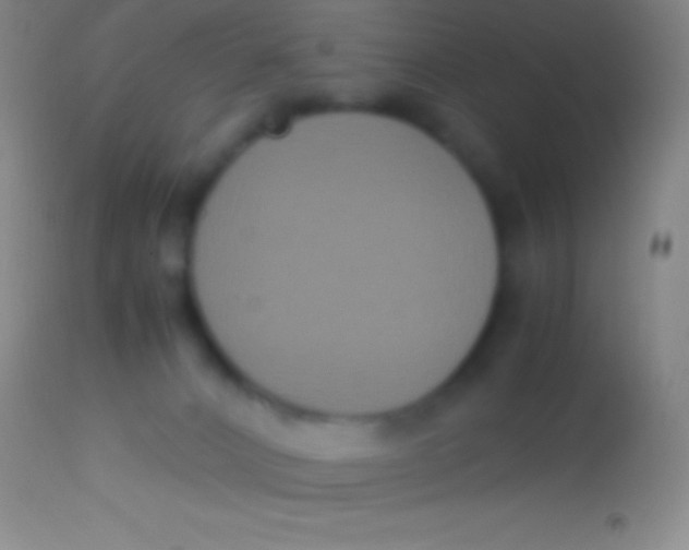 X0000113950032200910161950