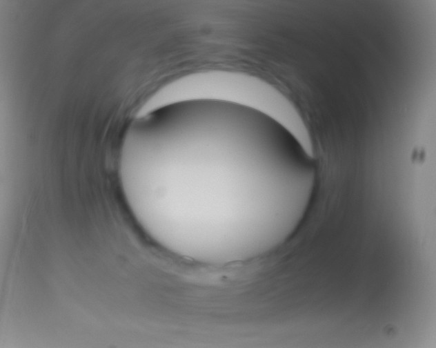 X0000113950033200910161950