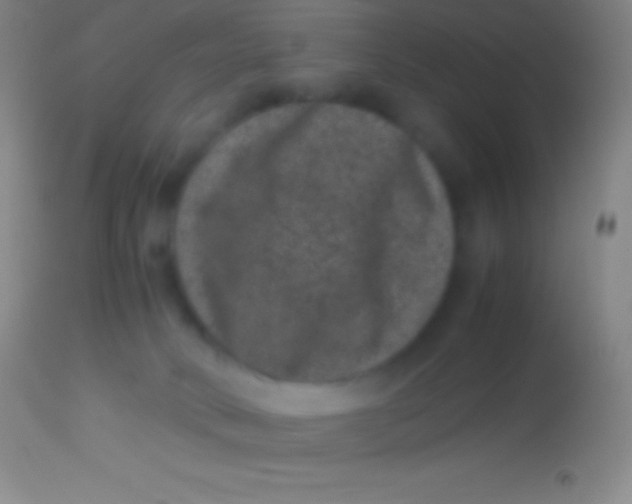 X0000113950034200910161950