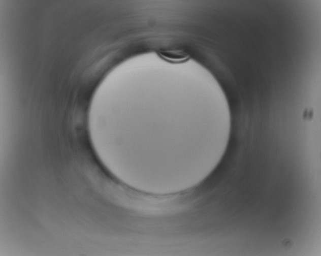 X0000113950035200910161950