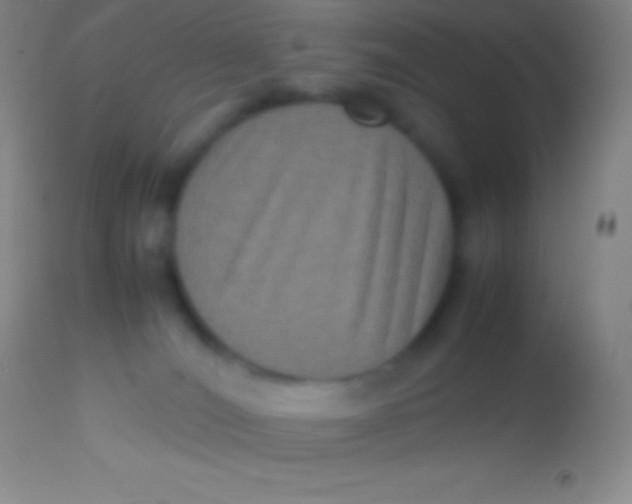 X0000113950036200910161950