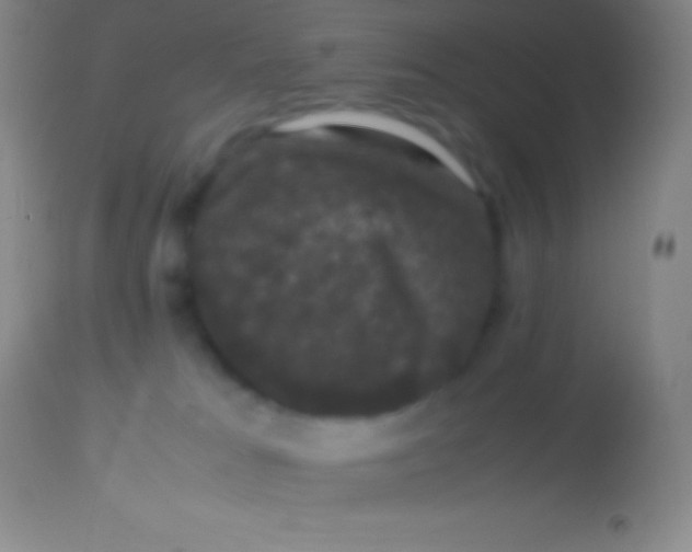 X0000113950037200910161950