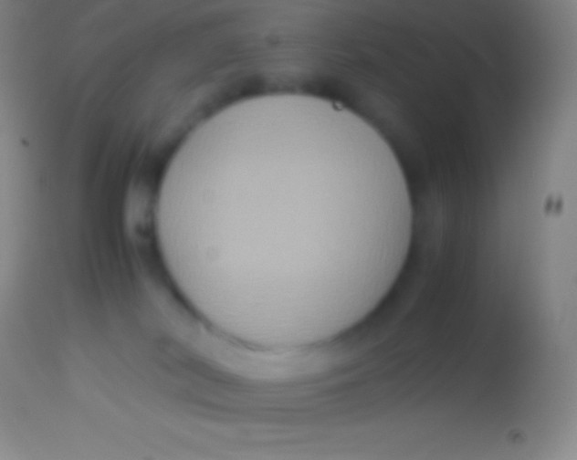 X0000113950038200910161950