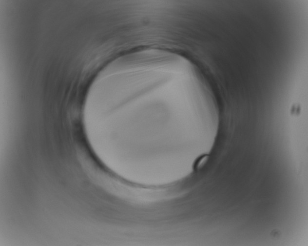 X0000113950039200910161950