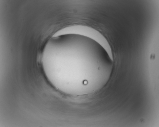 X0000113950041200910161950