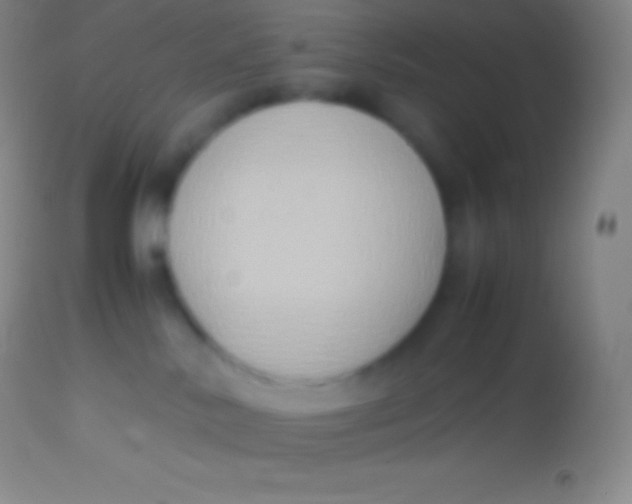 X0000113950042200910161950