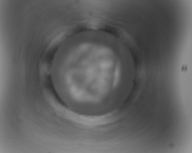 X0000113950043200910161950