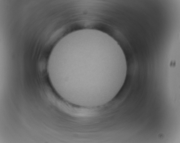 X0000113950044200910161950