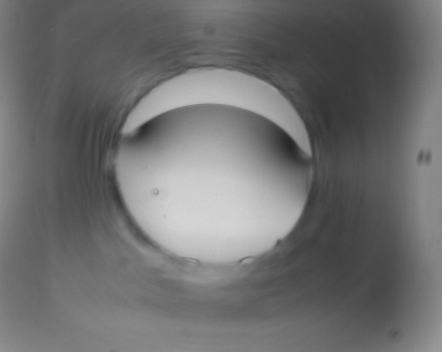 X0000113950045200910161950
