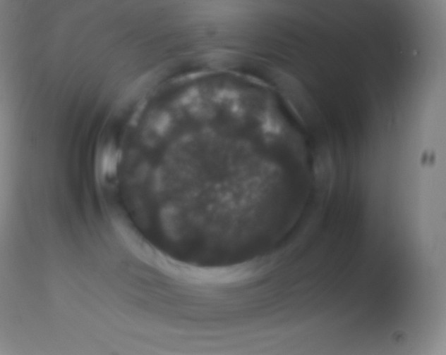 X0000113950046200910161950