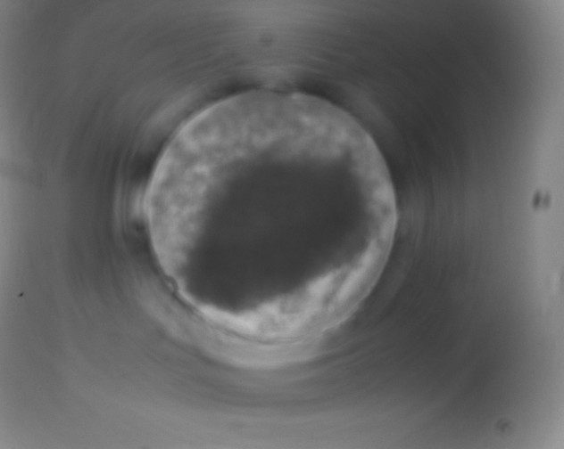 X0000113950047200910161950