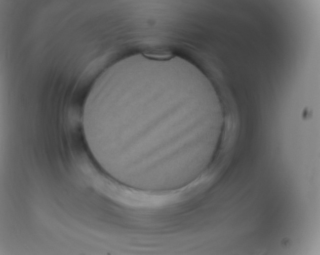 X0000113950048200910161950