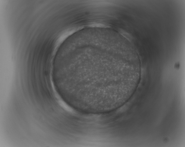 X0000113950049200910161949