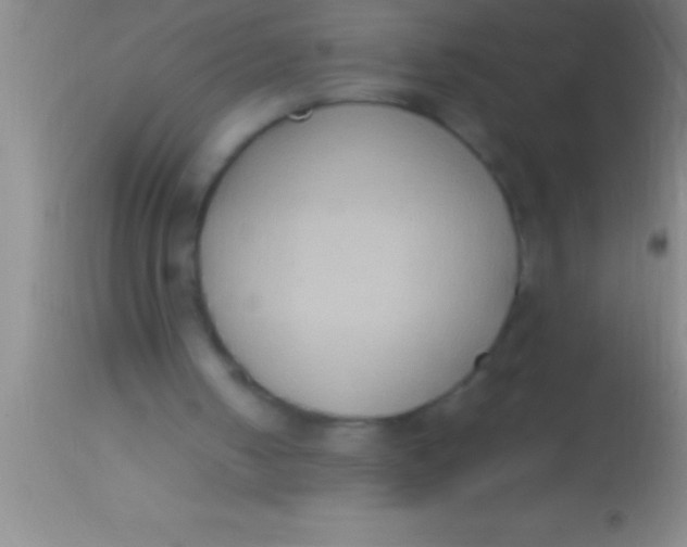 X0000113950050200910161949