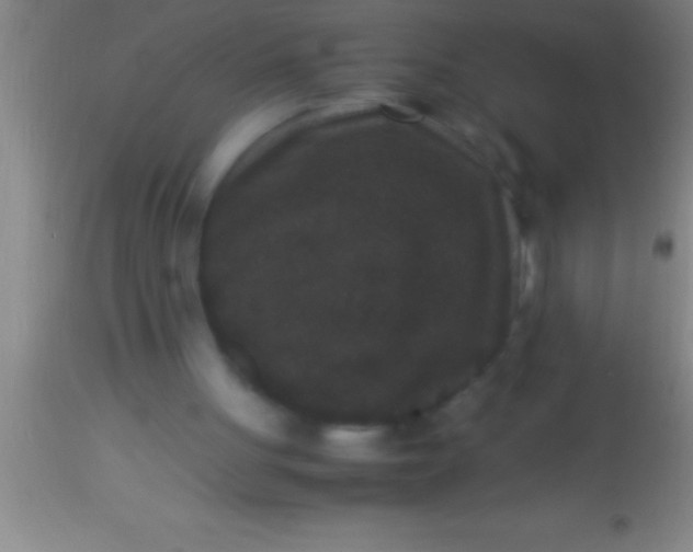 X0000113950051200910161949