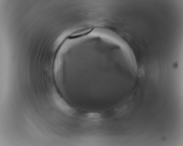 X0000113950052200910161949