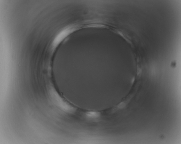 X0000113950053200910161949