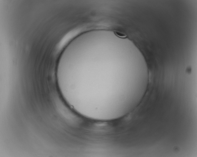 X0000113950054200910161949